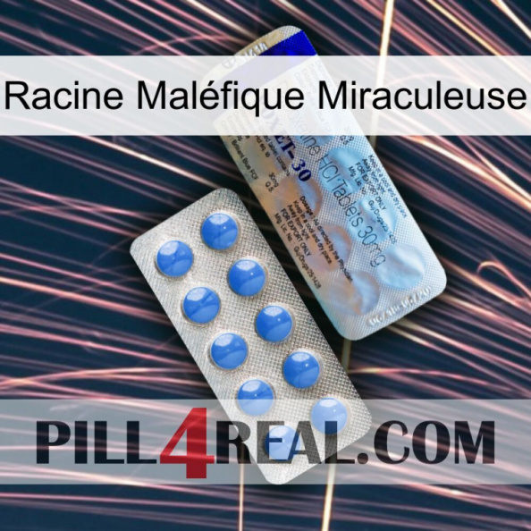 Racine Maléfique Miraculeuse 39